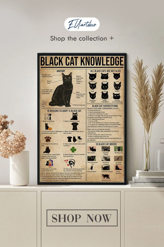 Black Cat Knowledge Poster, Cat Poster, Cat Art Print, Black Cat Decor, Cat Wall Decor, Funny Cat Prints, Black Cat Art, Funny Cat Gift