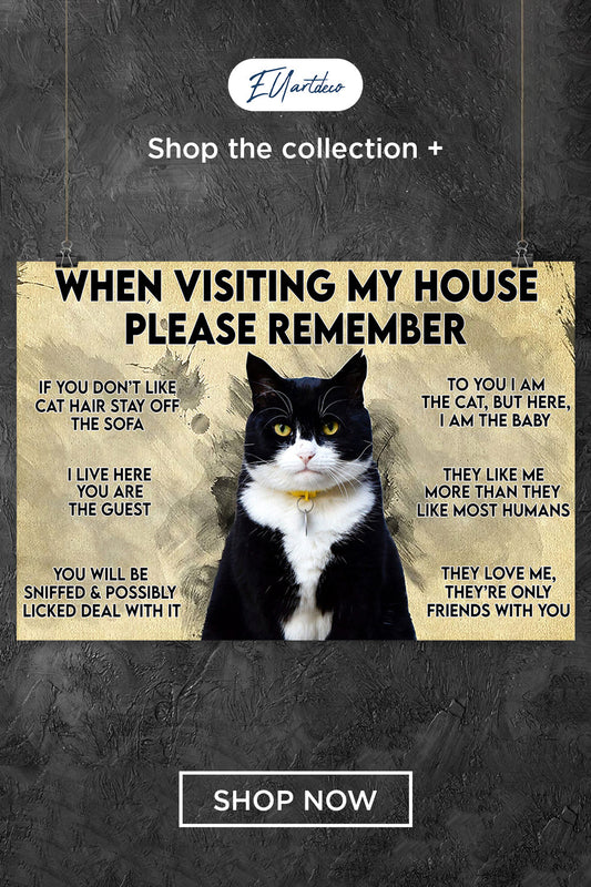 Black Cat Poster When Visiting My House Please Remember
