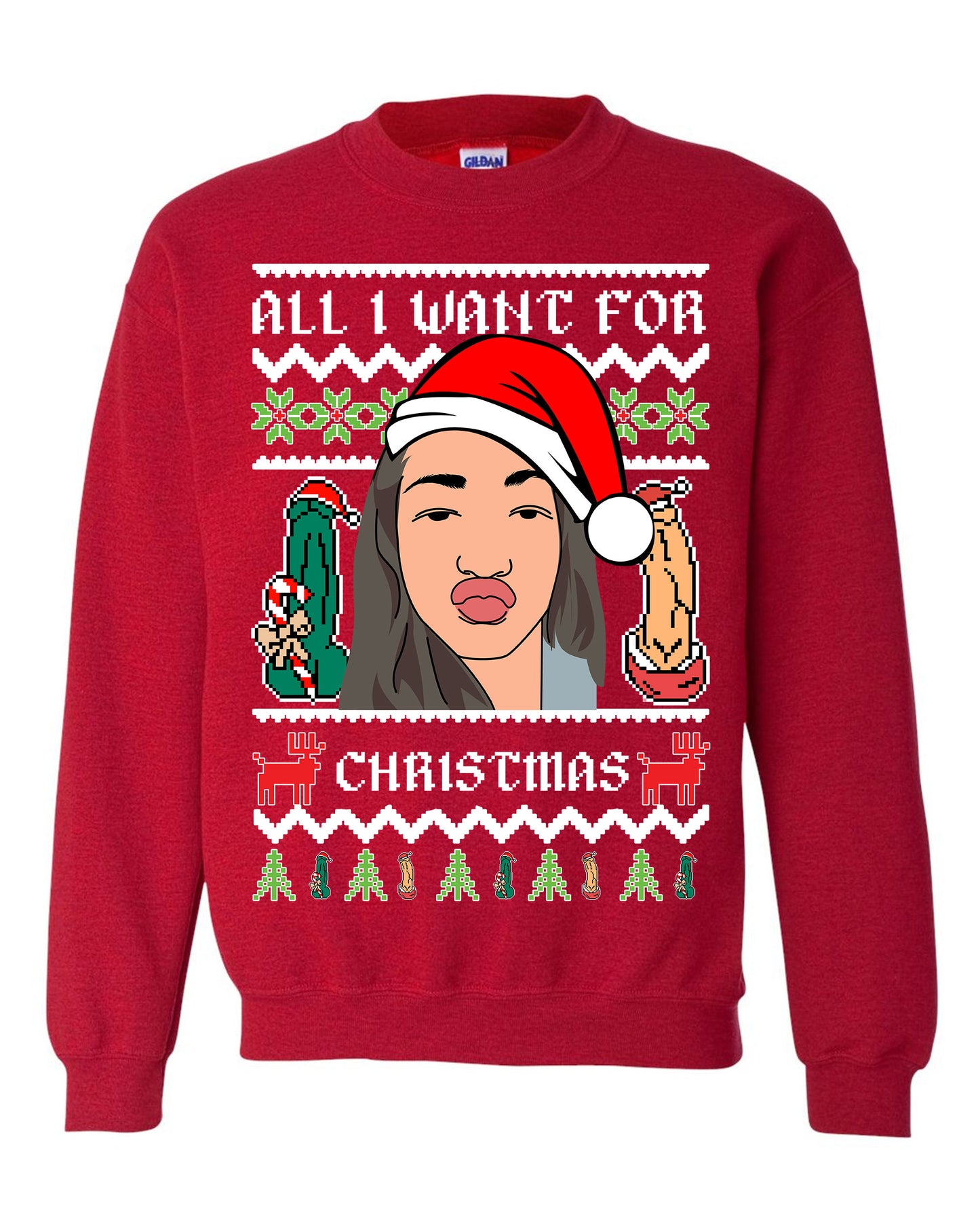 Custom Photo All I Want For Christmas Meme