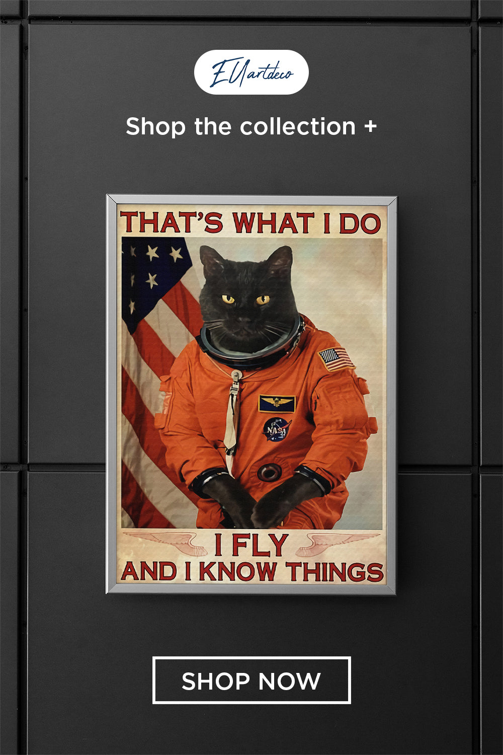 Black Cats That's What I Do I Fly And I Know Things Poster